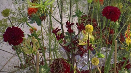 Floristka Karolína Žáčková - 2. část + anketa a pozvánky