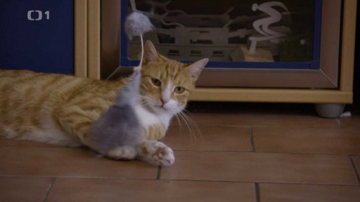 Raubíř Charlie: v čem je problém?