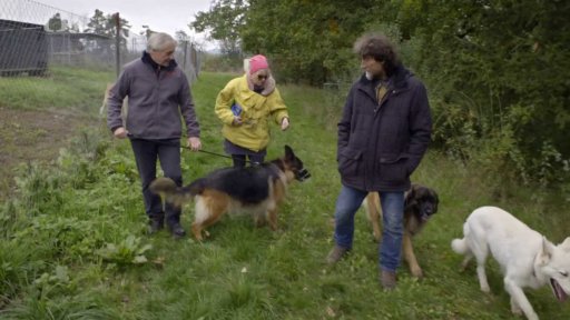 Nezkrotná Amy: seznámení s koučem