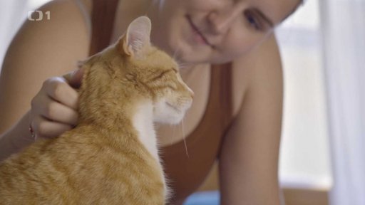 Raubíř Charlie: triky a rady