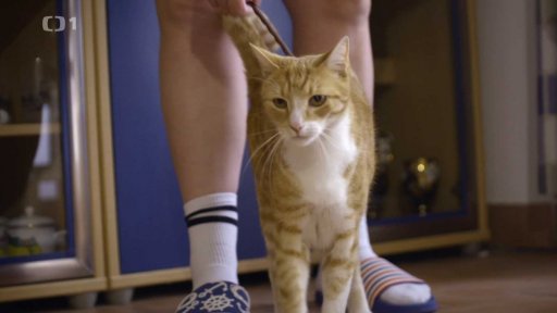 Raubíř Charlie: po měsíci