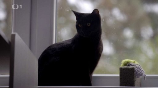 Nezbedný Pluto: po měsíci