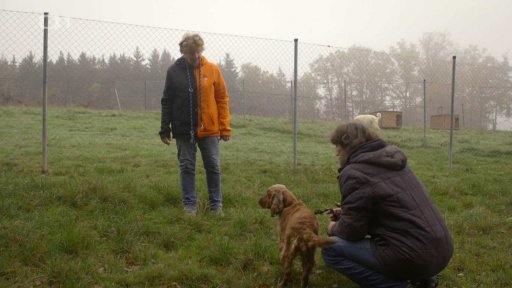 Svéhlavá Barunka: triky a rady