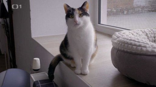 Zlodějská Westa: po měsíci