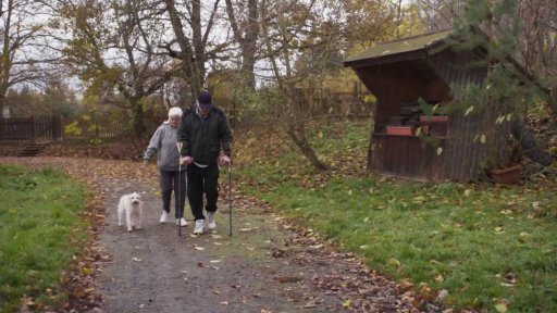 Ochranář Dasty: seznámení s koučem