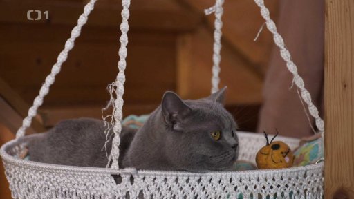 Majetnická Chanel: po měsíci