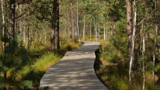 Soumarské rašeliniště