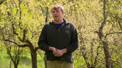 Travnaté plochy na zahradě