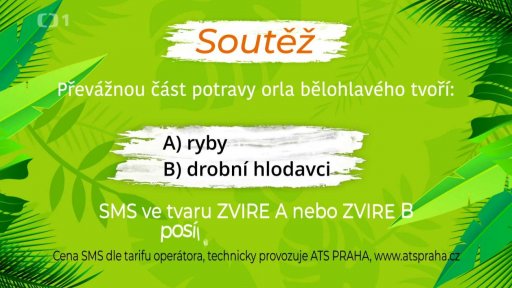 Soutěž