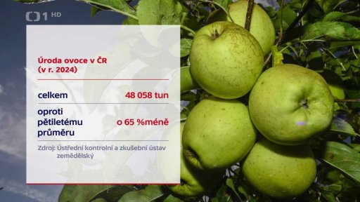 Úroda ovoce v ČR