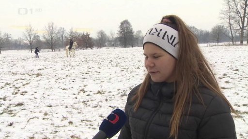 Zimní příprava starokladrubských koní