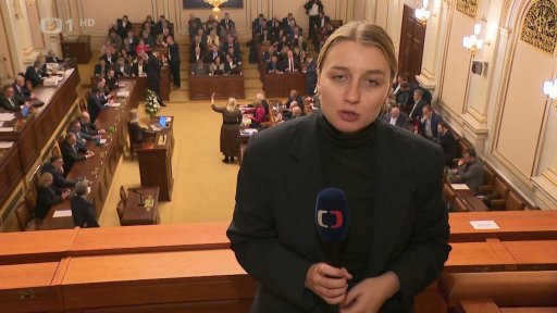 Zákony vrácené Senátem