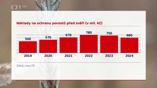 Škody v lesích kvůli přemnožené zvěři