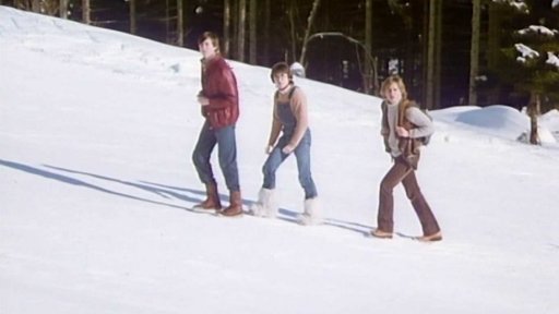 Český lev za mimořádný přínos kinematografii