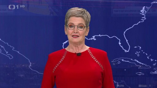 Firemní investice a státní pobídky