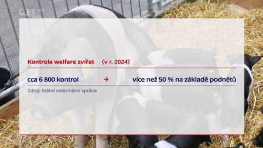 Přibývá případů týrání zvířat