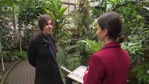 Ohrožené druhy rostlin