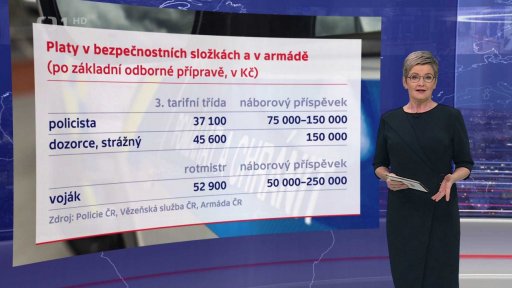 Platy v ozbrojených složkách