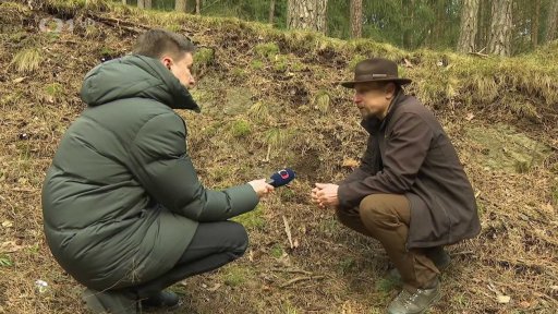 Ochrana a obnova české krajiny