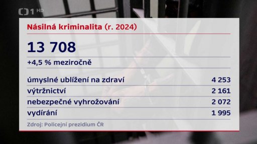 Násilná kriminalita