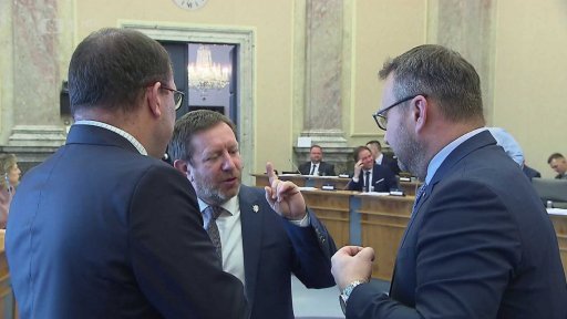 Platy ústavních činitelů