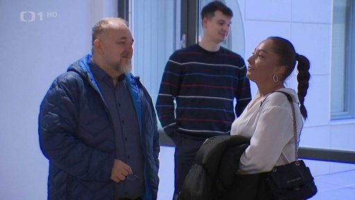 Trest za hajlování