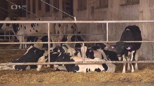 Zákaz dovozu zvířat kvůli obavám z nákazy