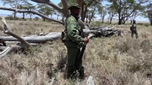 Záchrana přírody v Keni