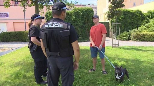 Pokuty pro majitele psů