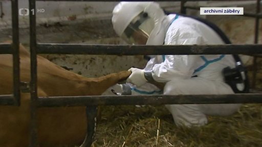 Na Slovensku potvrdili slintavku a kulhavku