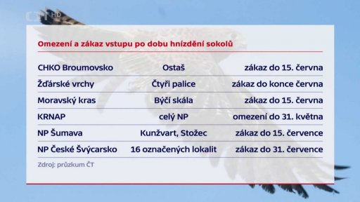 Ochrana sokolů ve Žďárských vrších