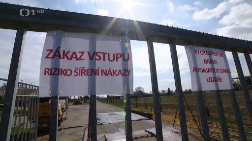 Testování mléka kvůli slintavce a kulhavce