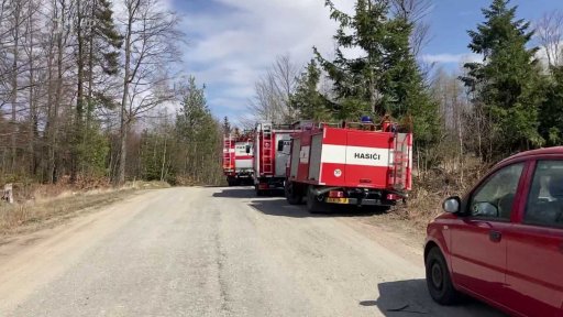 Požár lesa u obce Cejle na Jihlavsku