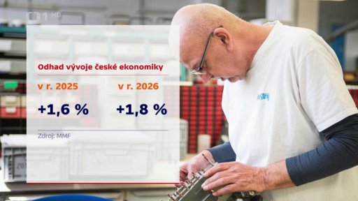 Odhad vývoje české ekonomiky