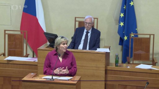 Platy nepedagogických pracovníků