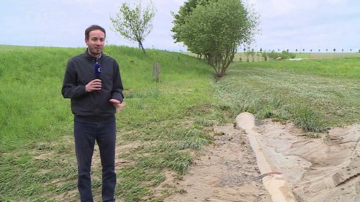 Úklid po bouřkách