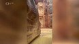 Evakuce českých turistů z jordánské Petry
