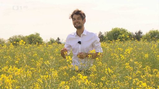 Pylová sezona na vrcholu