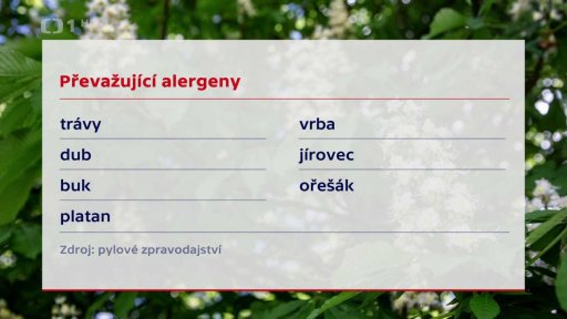 Převažující alergeny
