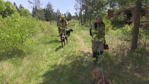 Výcvik kynologů v Ralsku