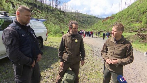 Němečtí turisté v Českém Švýcarsku