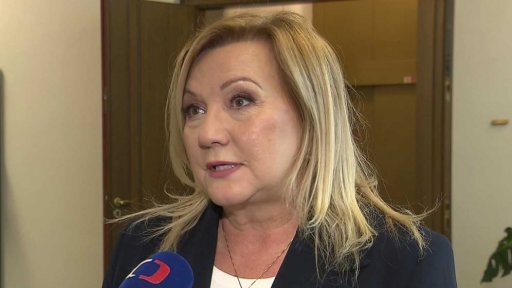 Zpřísnění mihrační politiky ve sněmovně