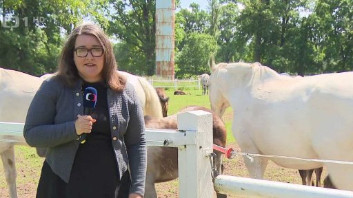 Teplé počasí a cíle turistů