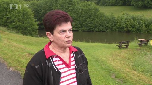 Medvěd u Luhačovic