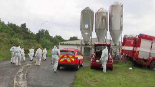 Úhyn prasat kvůli výpadku proudu