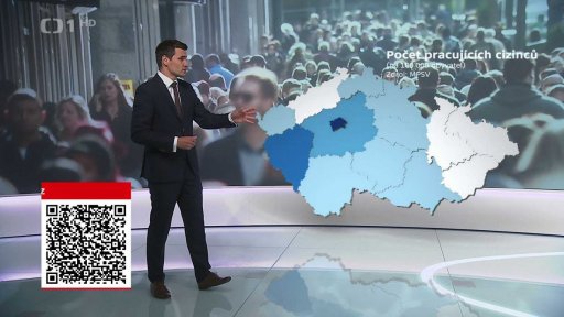 Cizinci žijící v Česku