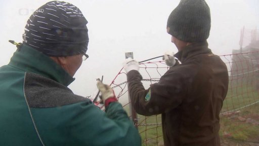 Ochranné sítě na Sněžce