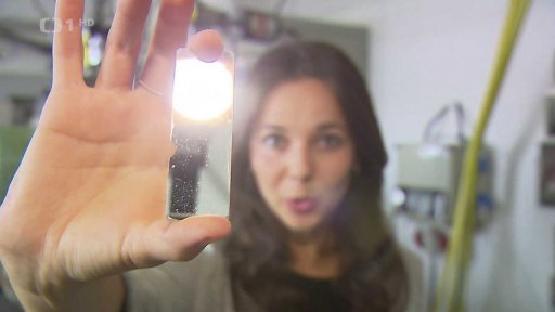 Prémie Otto Wichterleho