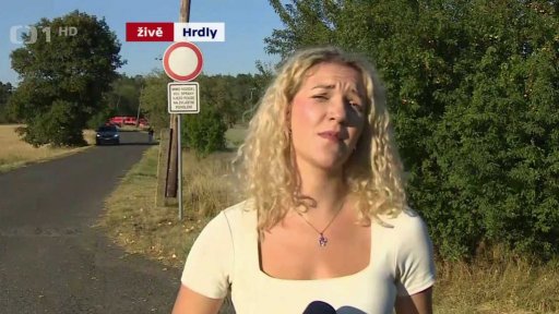 Požár lesa u muničního skladu