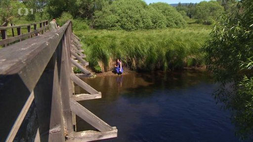 Perlorodky říční na Šumavě